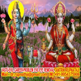 ask astrologer numerology