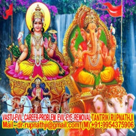 astrologer consultancy through email