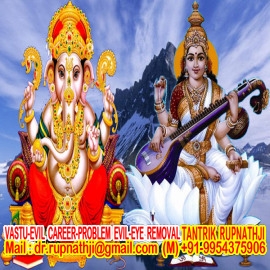 astrologer pandit ji