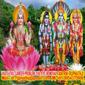 astrologer rupnathji live