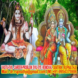 astrology horoscope match making