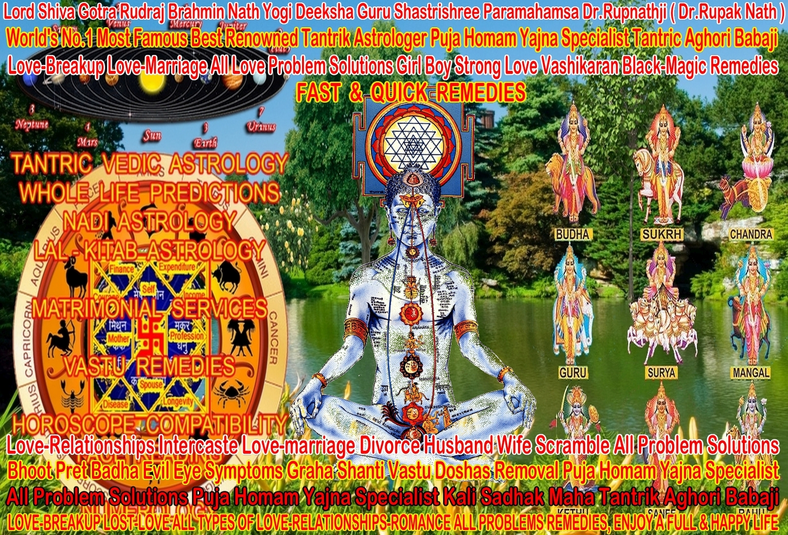 indian vedic astrology