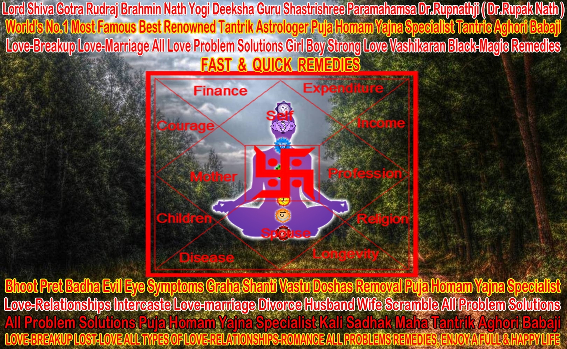 mohini vashikaran specialist