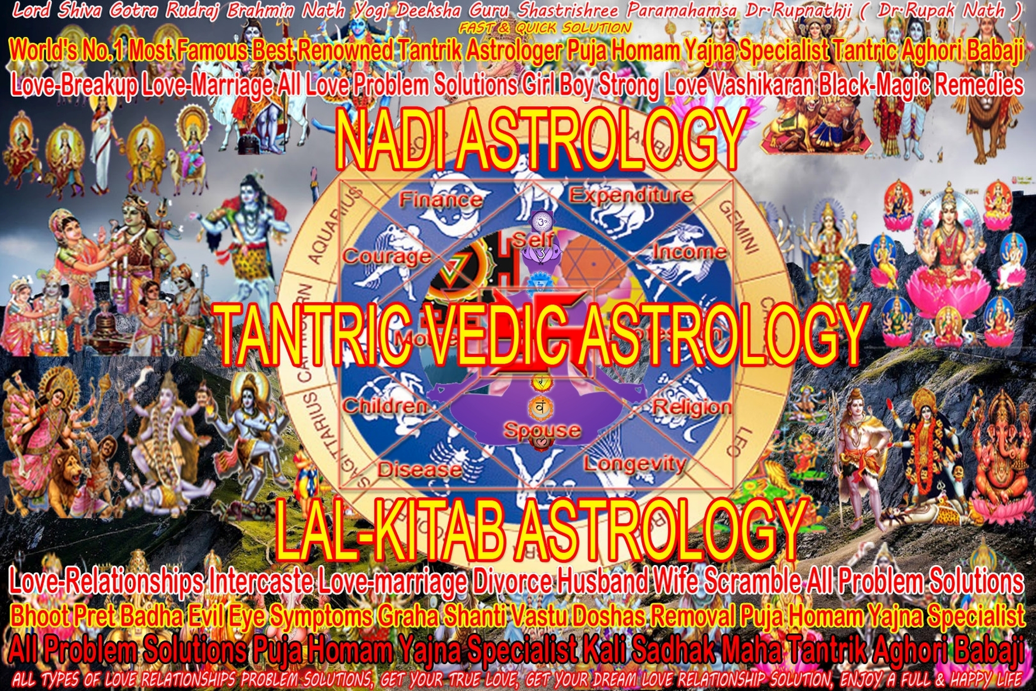 vedic astrology predictions