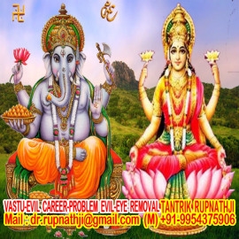 bagulamukhi jyotish tantra