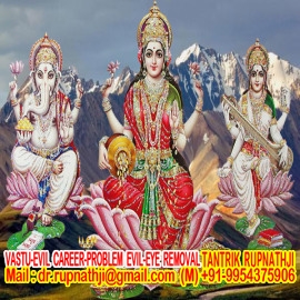 best astrologer in india