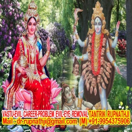 best questions to ask an astrologer