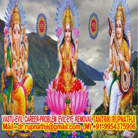 bring your love back