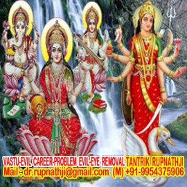 consult through phone