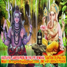 famous astrologer rupnathji