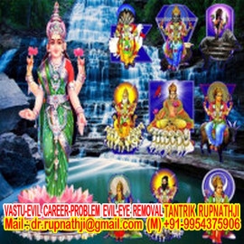 free career articles