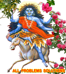 just dial to call babaji +9954375906