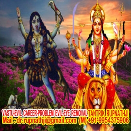 koushika agasthiya nadi astrologer