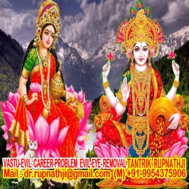 love problems specialist astrologer