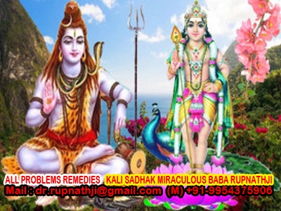 love vashikaran astrologer