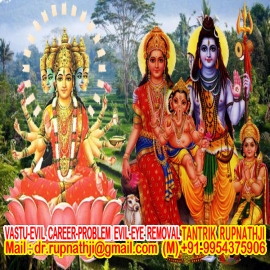 love vashikaran specialist