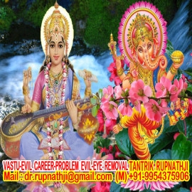 maha yogi avatar dr rupnathji