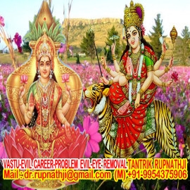 maha yogi sai babas avatar dr rupnathji