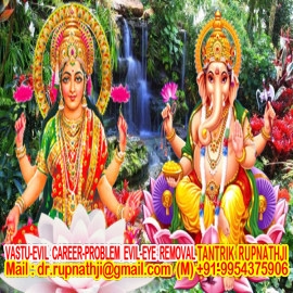 movie or modelling career