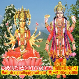 my true love back by vashikaran