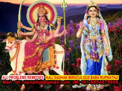 online gold medalist astrologer