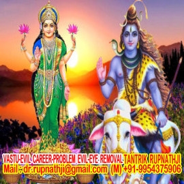 rectification of vastu defects of industry