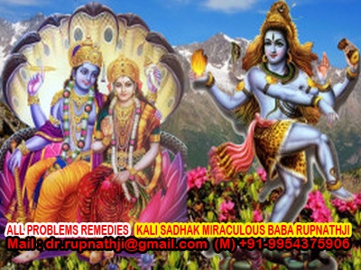 vashikaran love astrologer