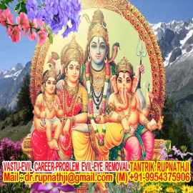 vashikaran specialist to bring love back