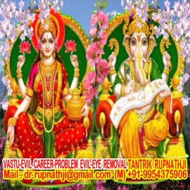 vastu for west facing house